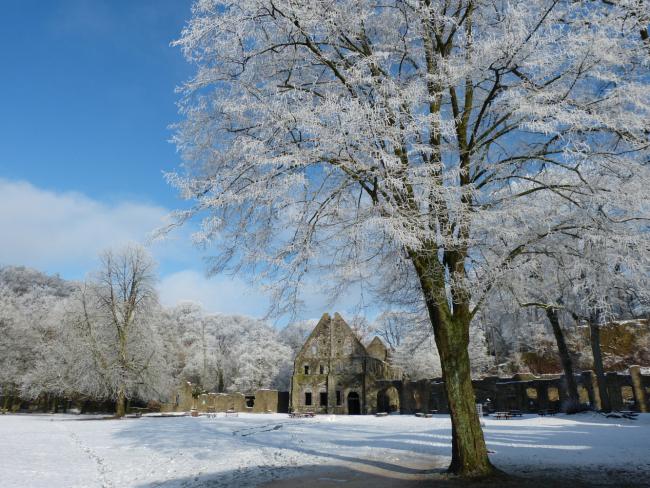 L'abbaye de Villers en hiver