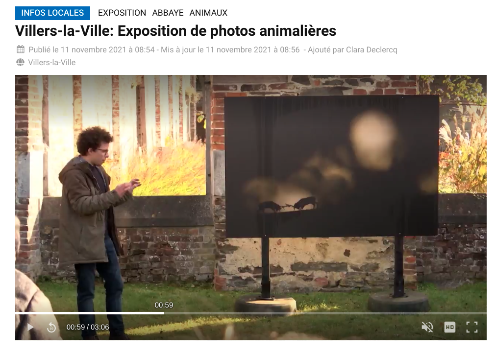 Villers-la-Ville: Exposition de photos animalières