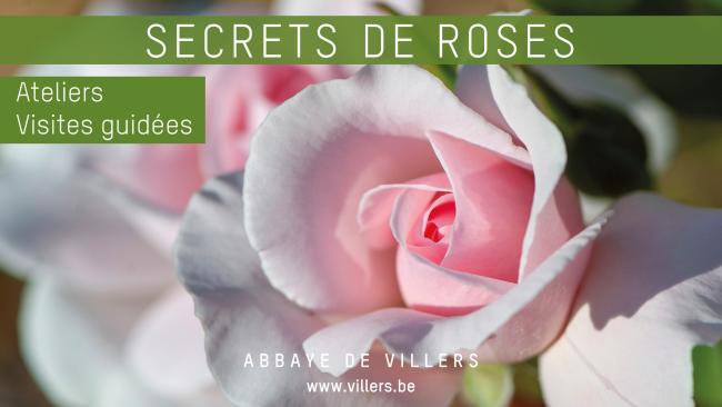 Secrets of roses