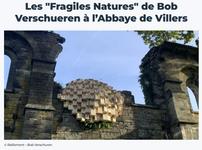 Les "Fragiles Natures" de Bob Verschueren à l’Abbaye de Villers